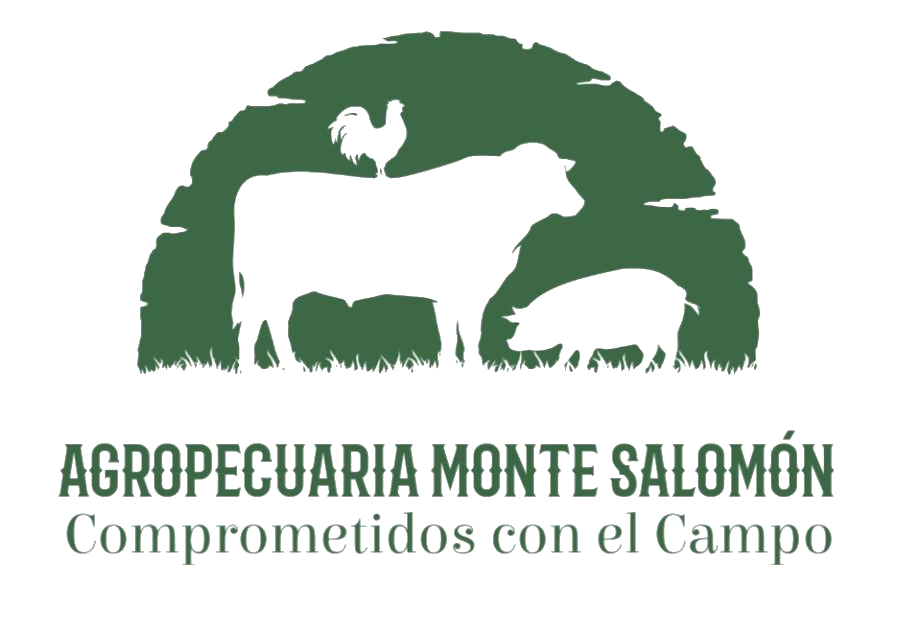 Logo PNG